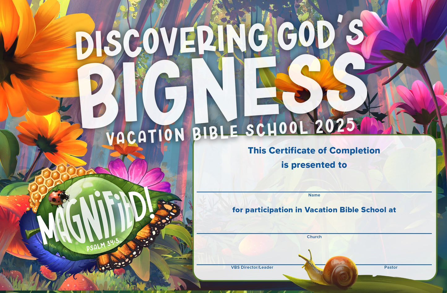 VBS-Magnified!: Certificates Of Completion (Pack Of 50) (2025)