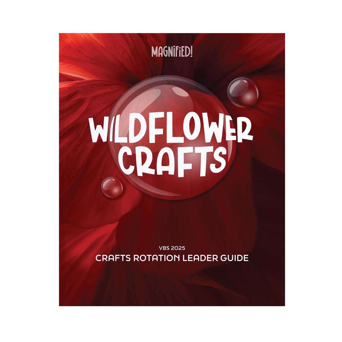 VBS-Magnified!: Crafts Rotation Leader Guide (2025)