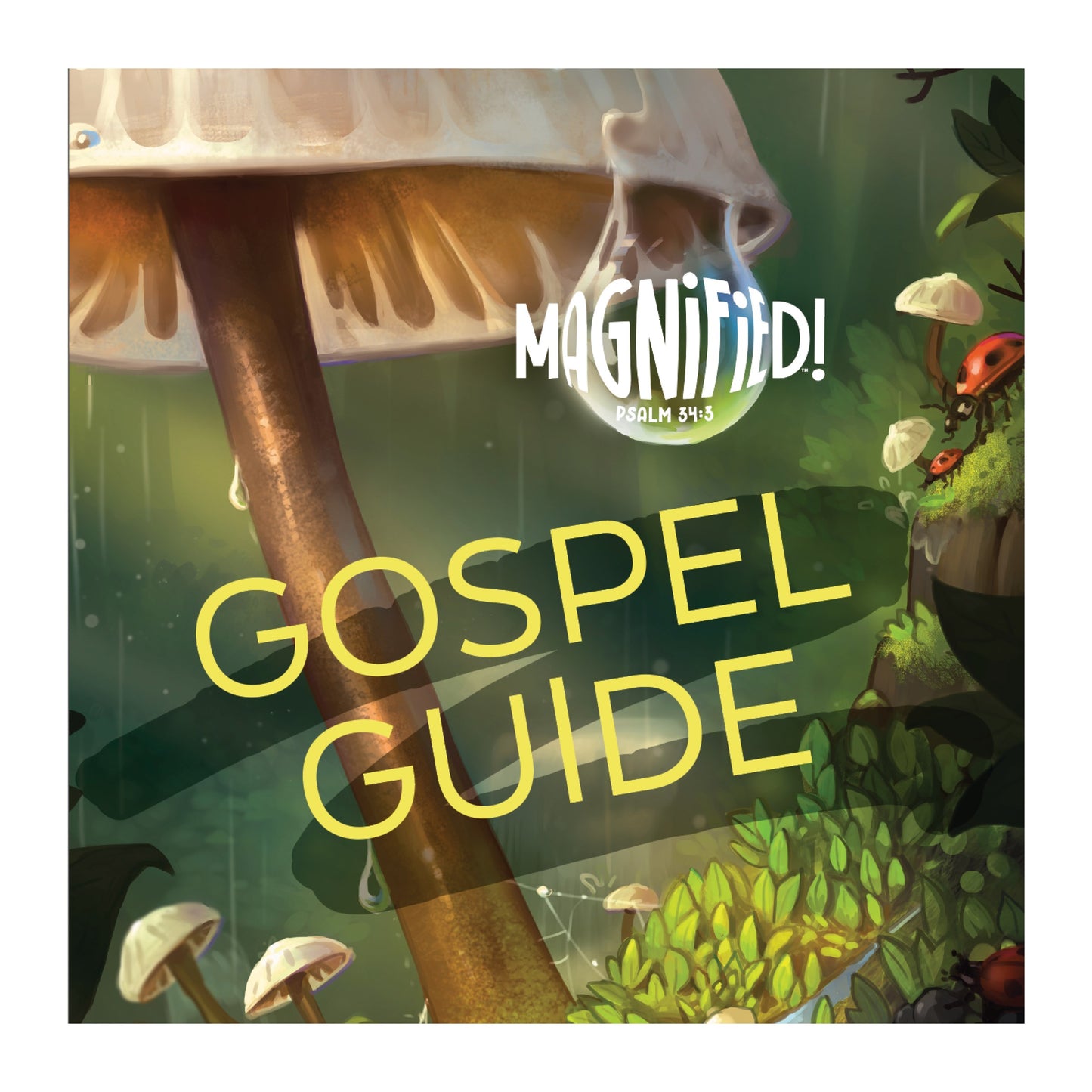 VBS-Magnified!: Gospel Guide (Pack Of 20) (2025)