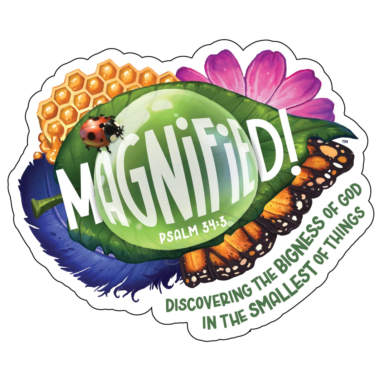 VBS-Magnified!: Logo Iron-On (Pack Of 10) (2025)