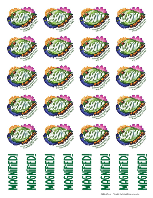 VBS-Magnified!: Logo Stickers (Pack Of 10 Sheets) (2025)