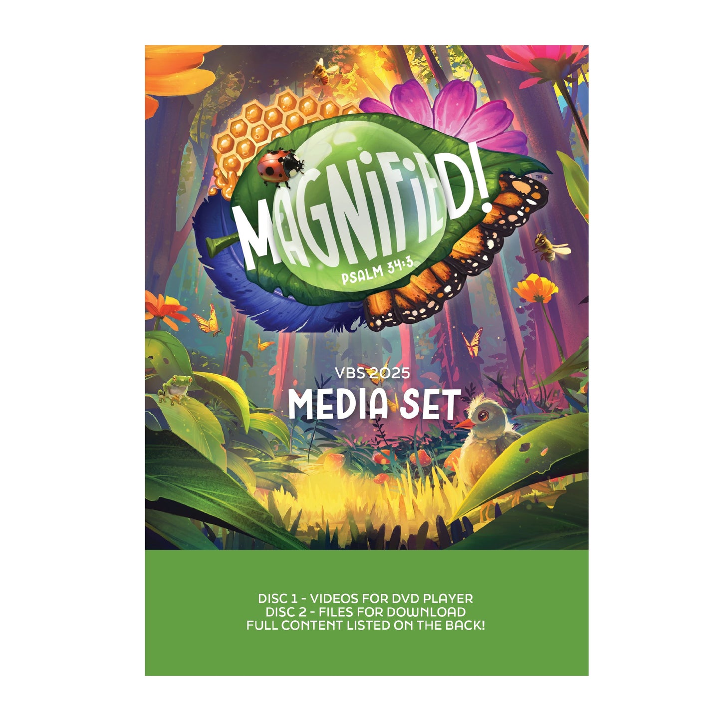 VBS-Magnified!: Media Set (2025)