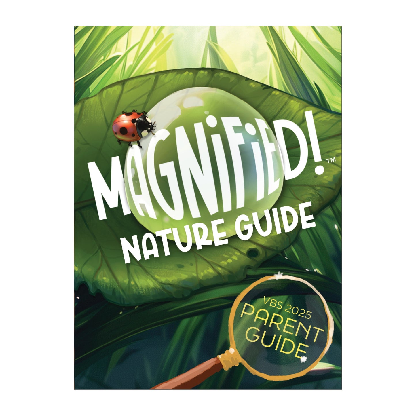 VBS-Magnified!: Nature Guide Parent Guides (Pack Of 10) (2025)