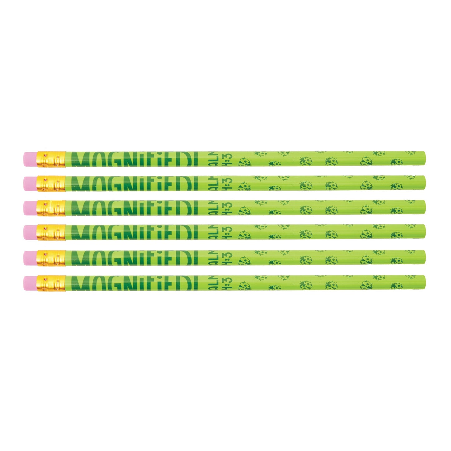 VBS-Magnified!: Pencils (Pack Of 6) (2025)