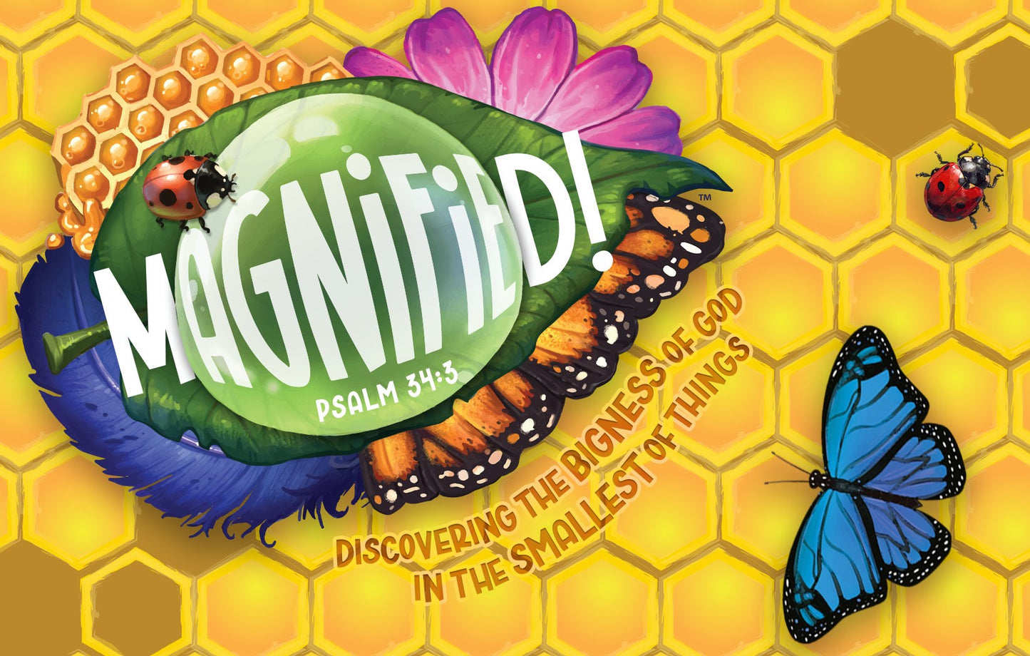 VBS-Magnified!: Postcards (Pack Of 50) (2025)