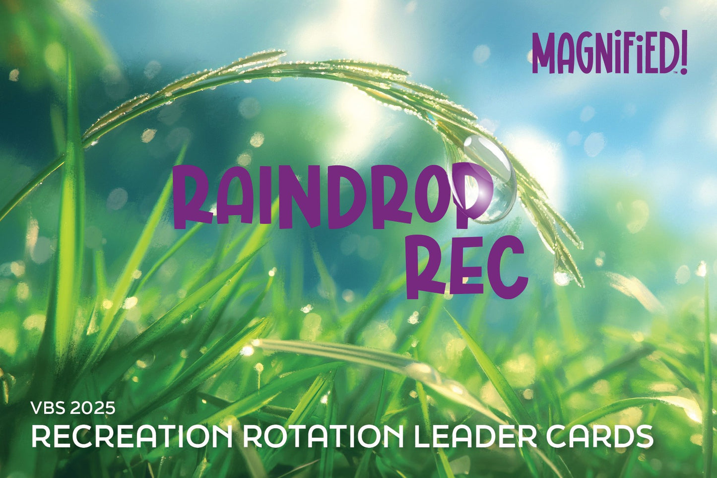 VBS-Magnified!: Recreation Rotation Leader Cards (Pack Of 25) (2025)