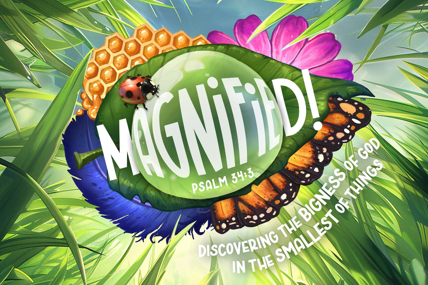 VBS-Magnified!: Supersized Postcards (Pack Of 50) (2025)
