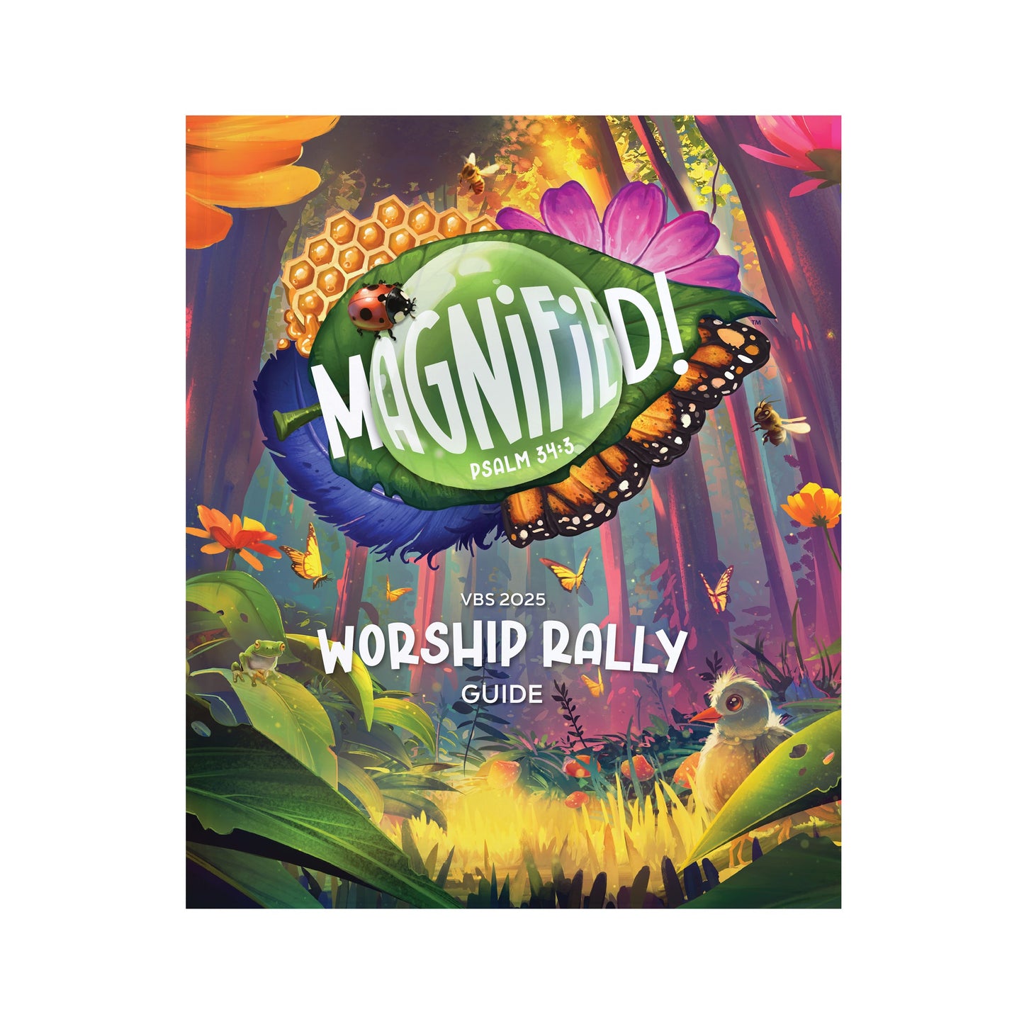 VBS-Magnified!: Worship Rally Guide (2025)