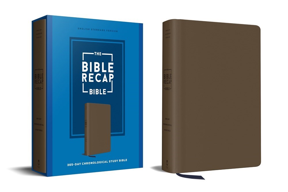 ESV The Bible Recap 365-Day Chronological Study Bible-Imitation Leather