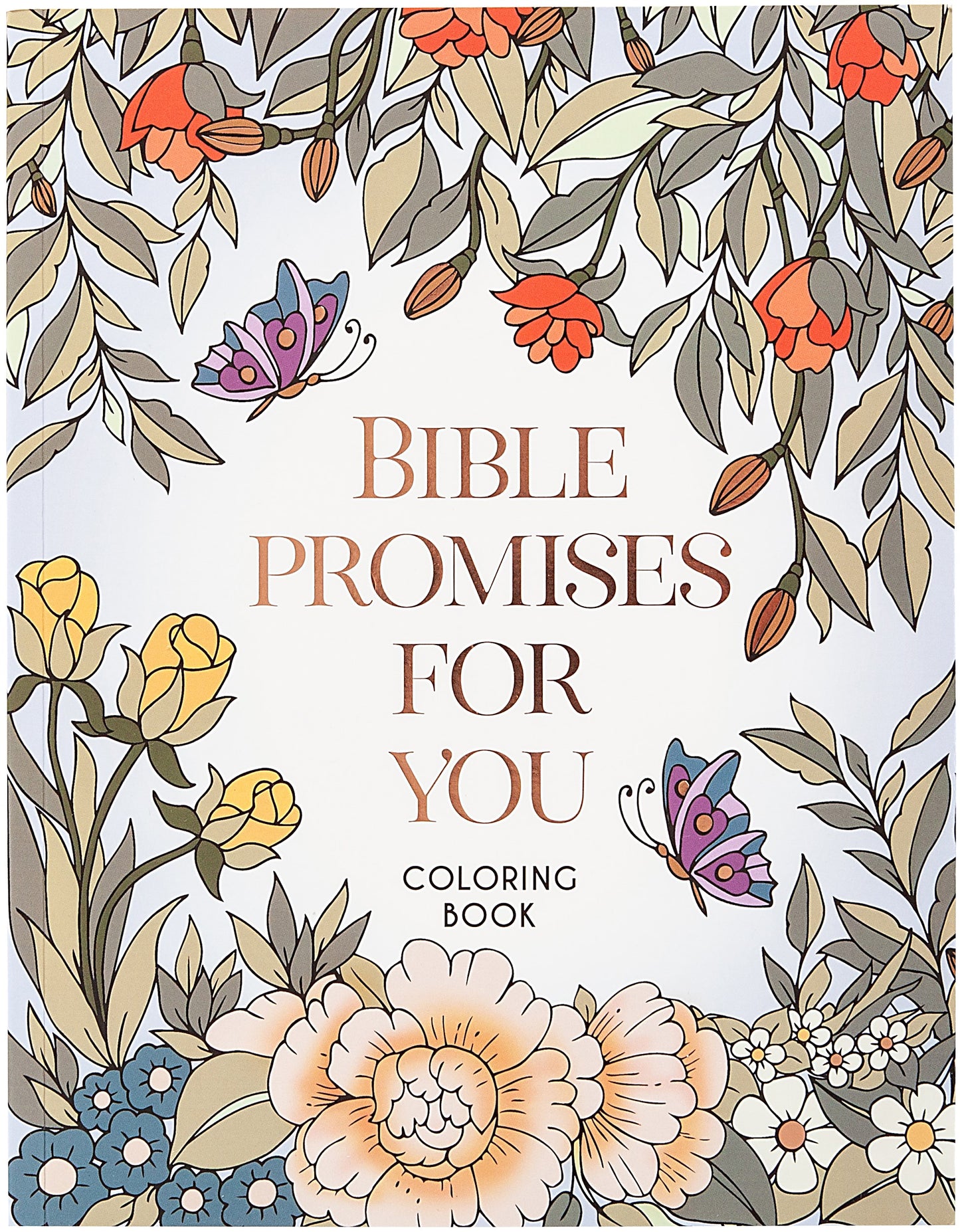 Bible Promises For You Coloring Book