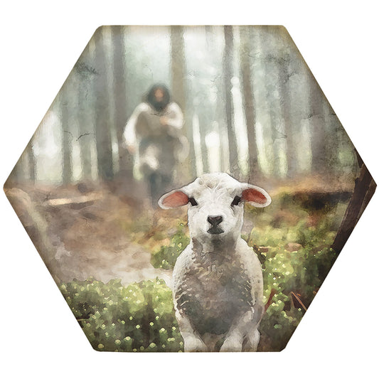 Coaster-Honeycomb-Jesus Rescuing Lamb (4.5 x 3.785)