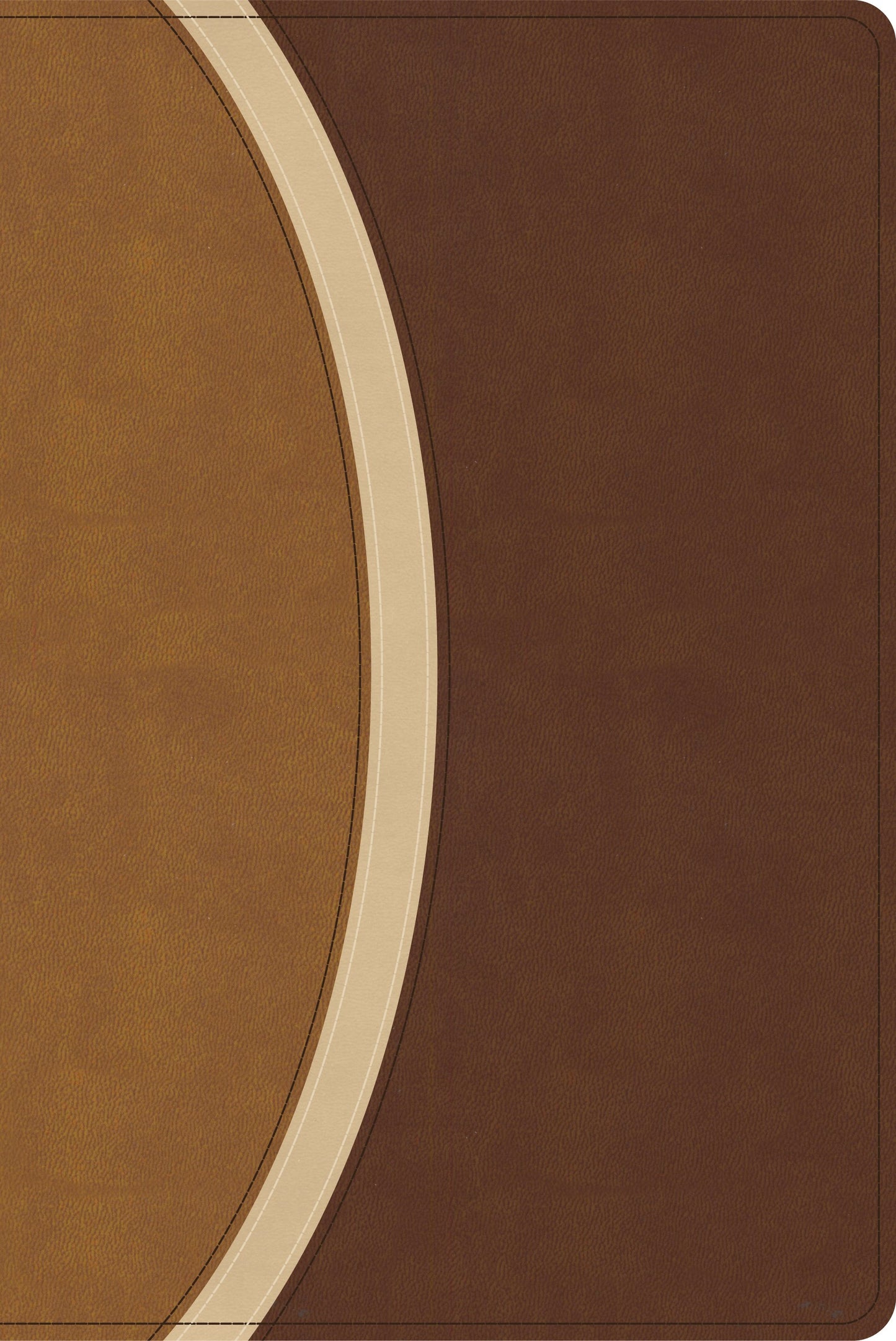 CSB Rainbow Study Bible (Limited Edition)-Brown LeatherTouch
