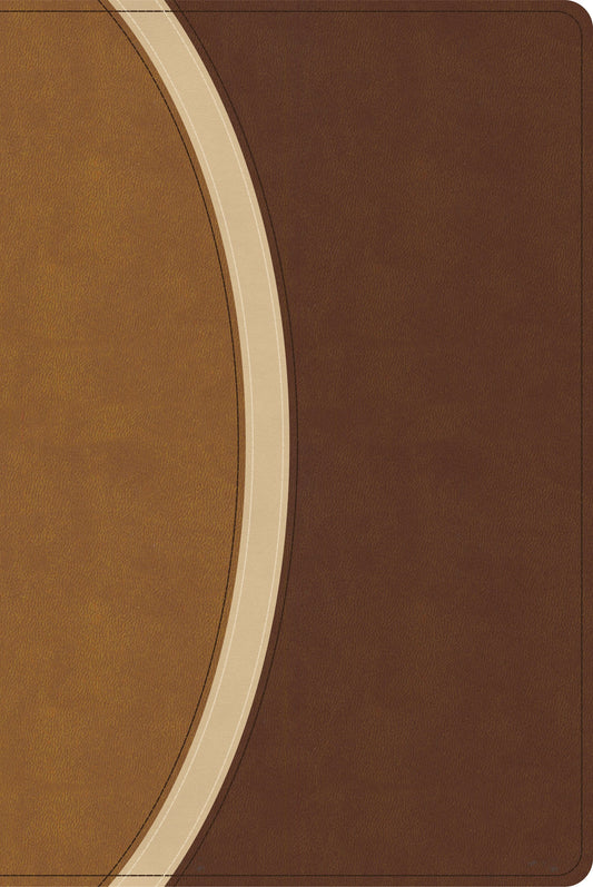 CSB Rainbow Study Bible (Limited Edition)-Brown LeatherTouch