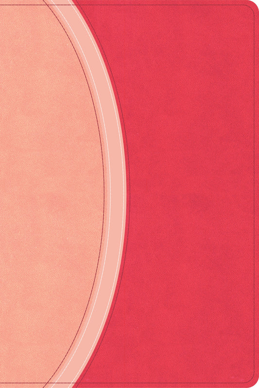 CSB Rainbow Study Bible (Limited Edition)-Pink LeatherTouch