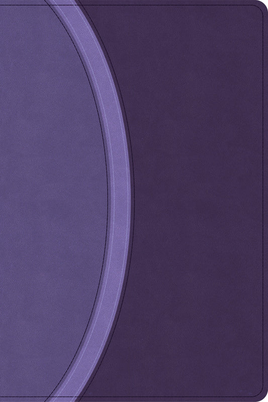 CSB Rainbow Study Bible (Limited Edition)-Purple LeatherTouch