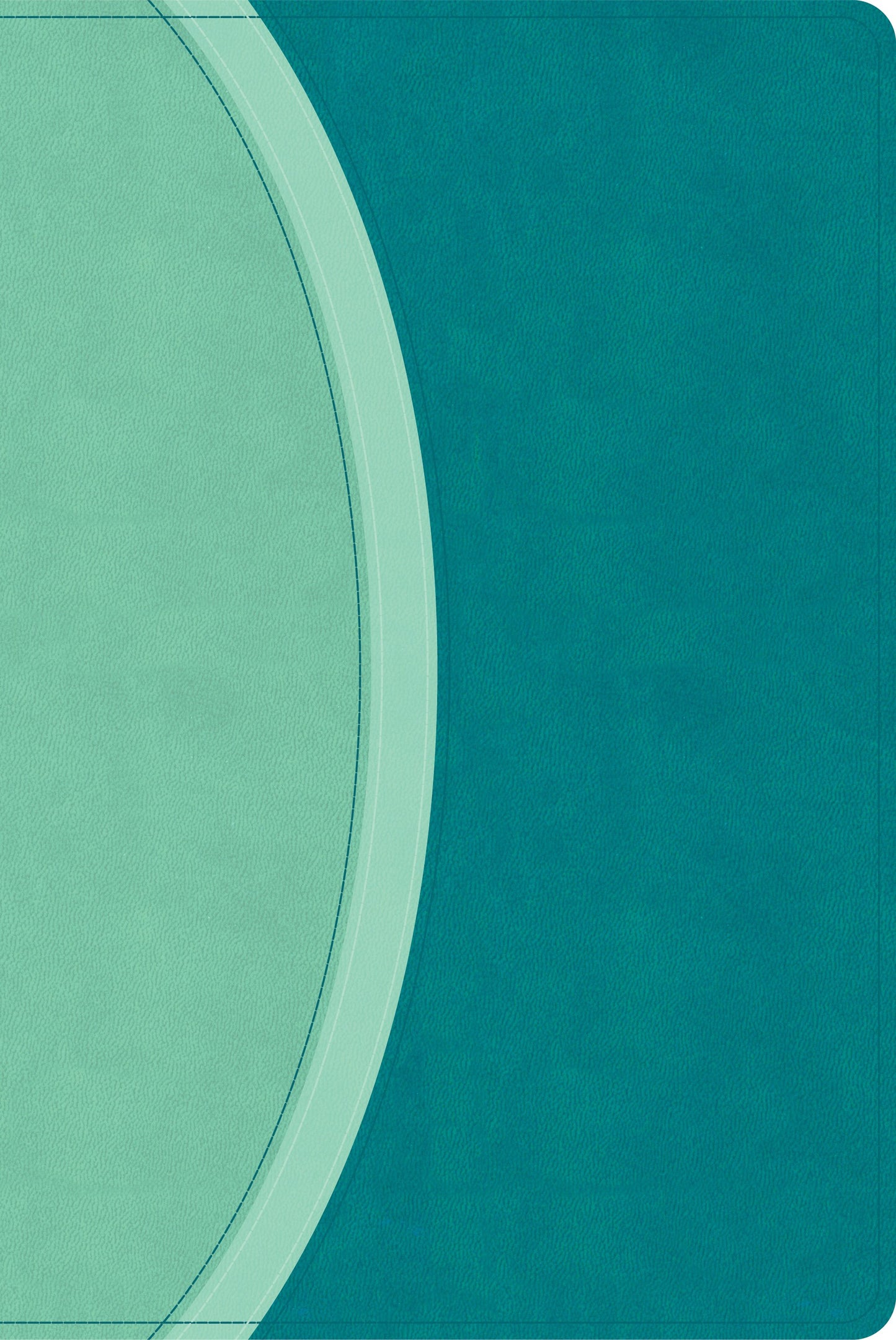 CSB Rainbow Study Bible (Limited Edition)-Teal LeatherTouch