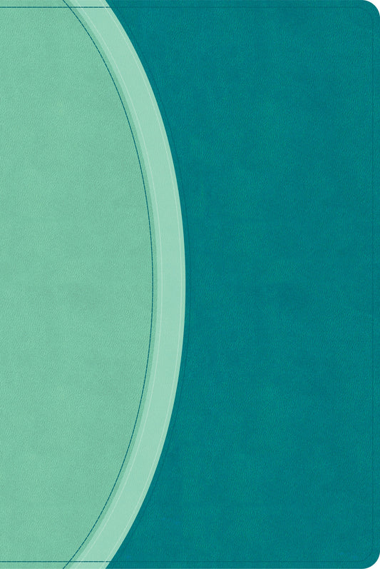 CSB Rainbow Study Bible (Limited Edition)-Teal LeatherTouch