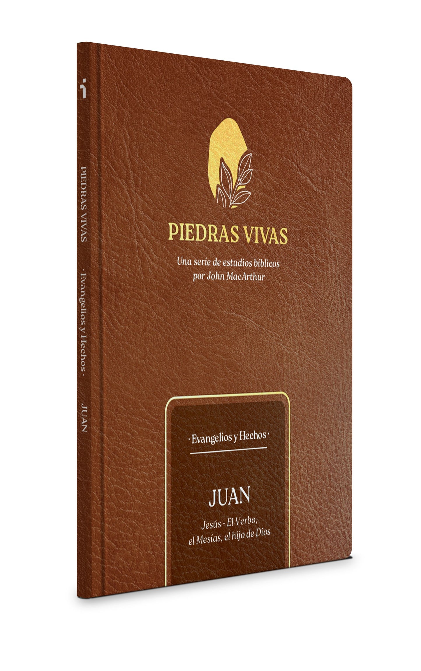 Piedras Vivas: Juan - Estudio Biblico (Living Stones: John Bible Study)
