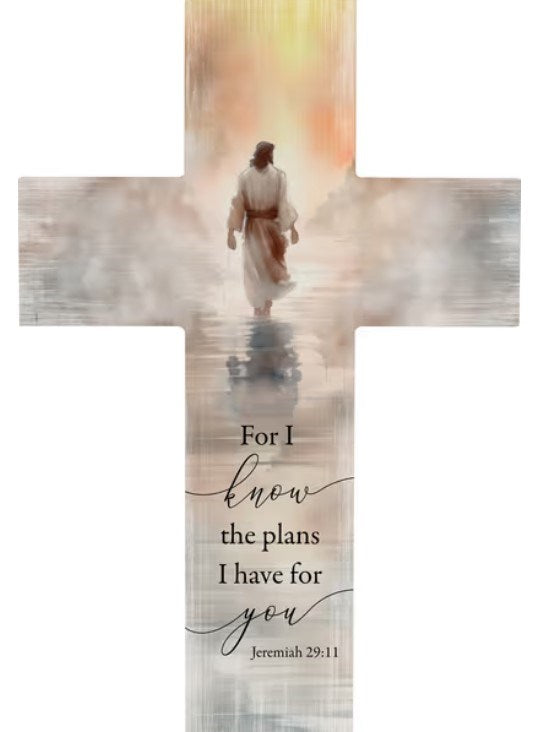 Wall Cross-For I Know The Plans (14")