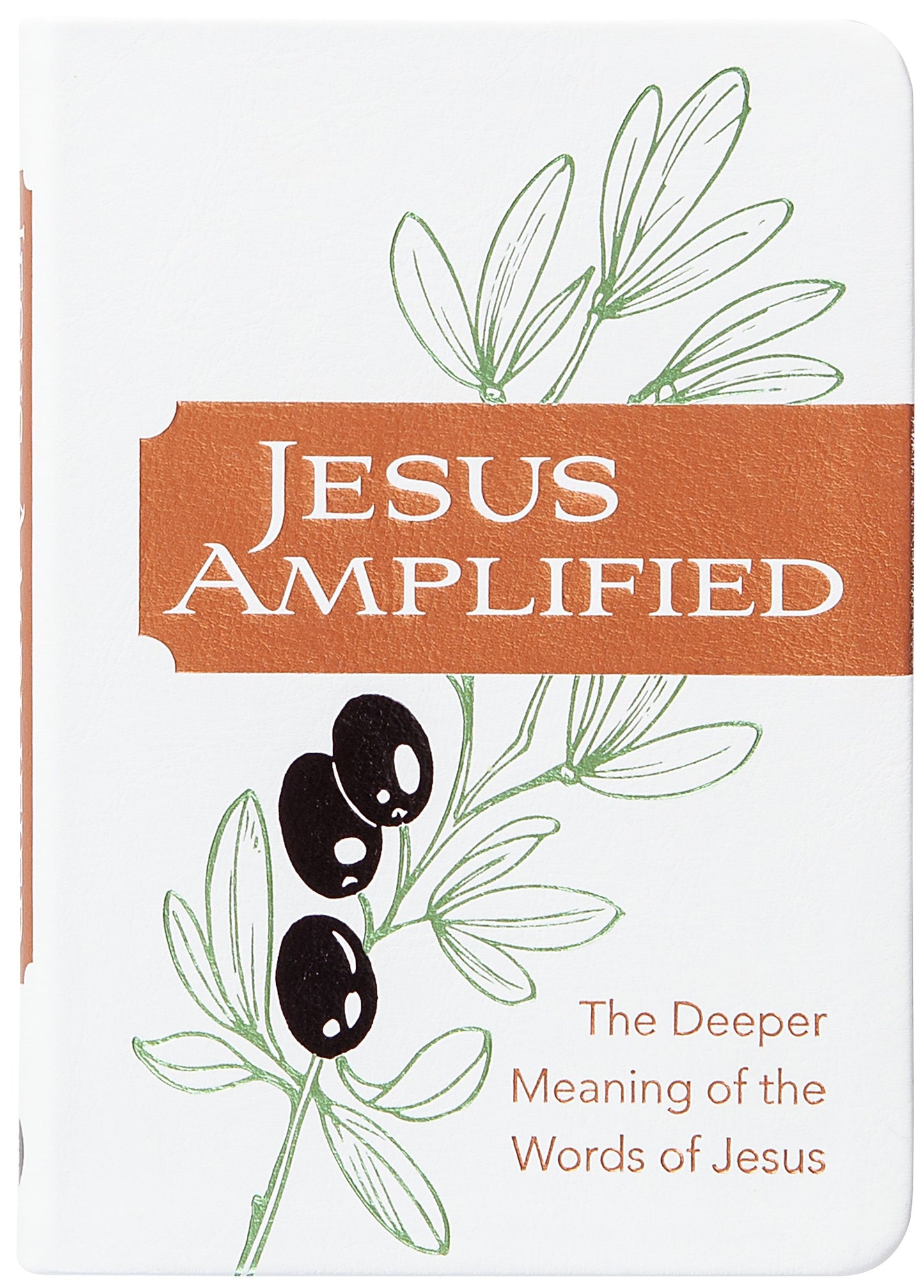 Jesus Amplified