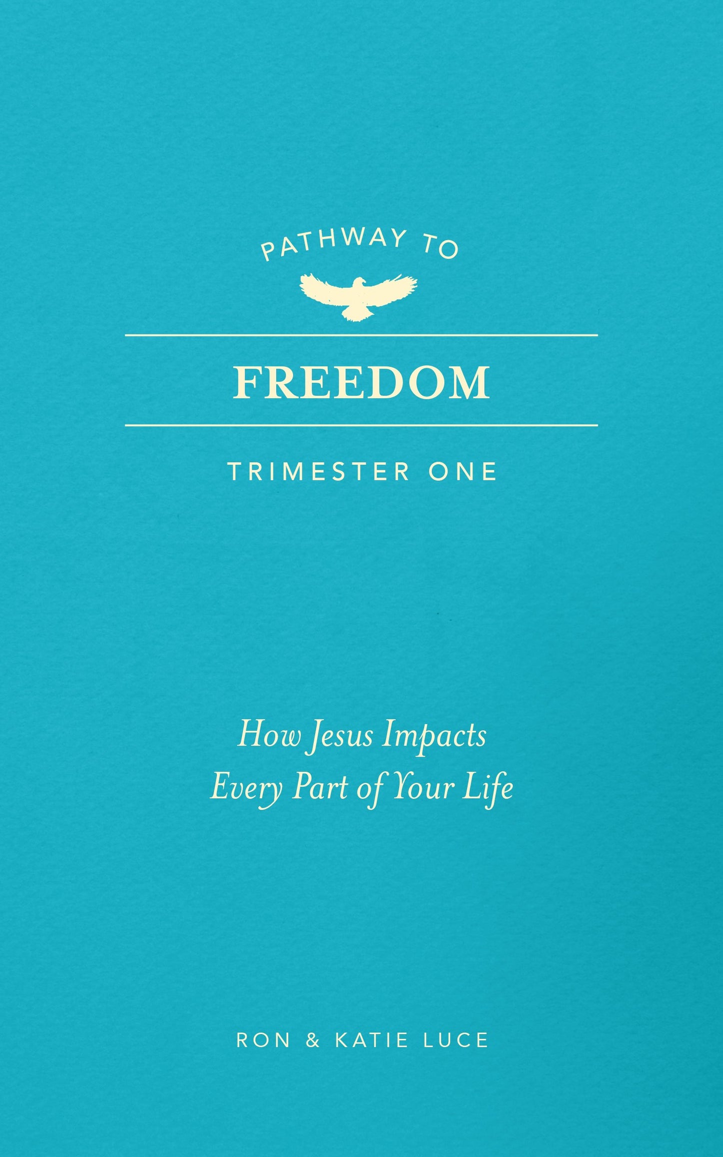 Pathway To Freedom (Trimester One)
