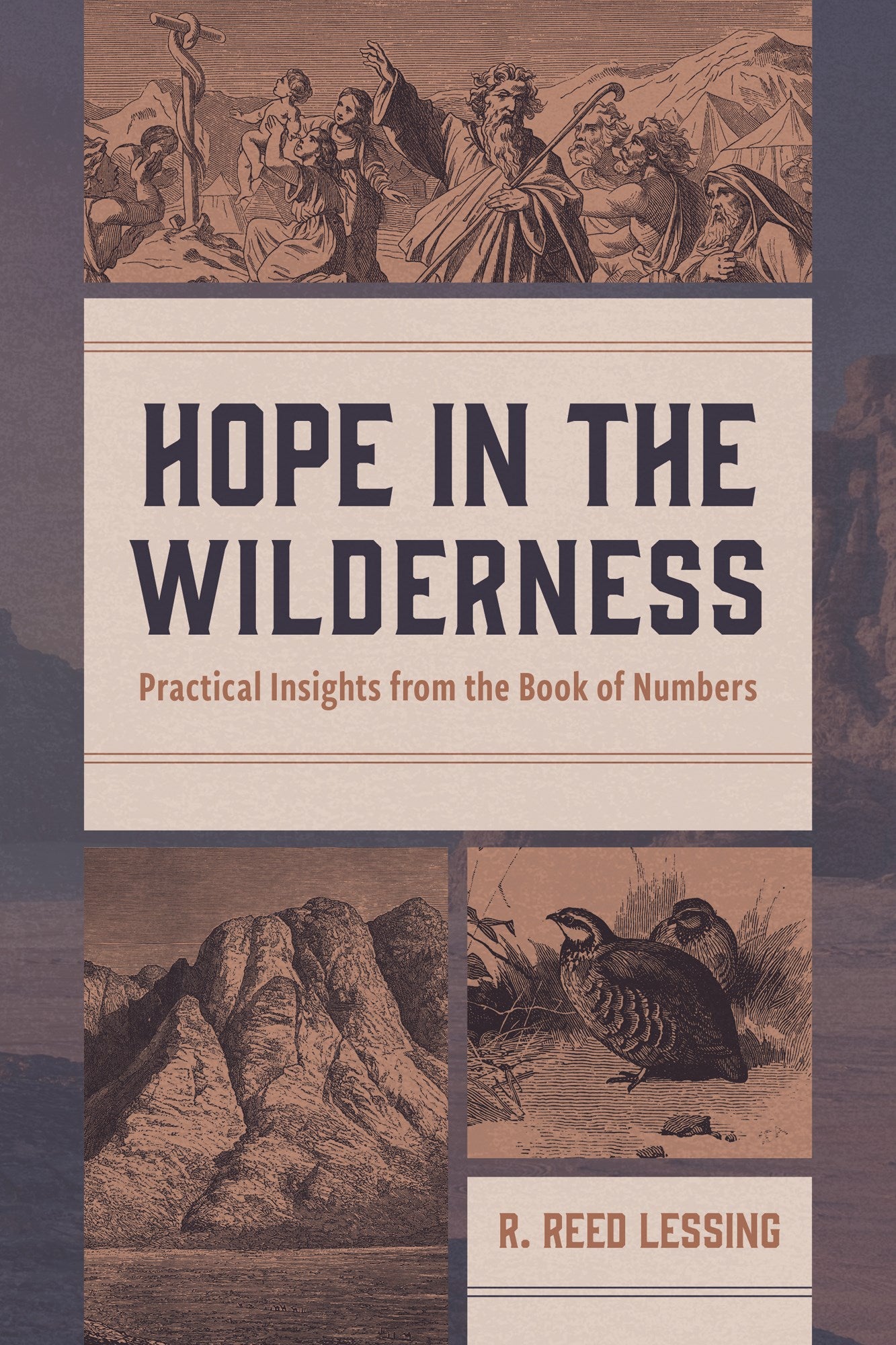 Hope In The Wilderness