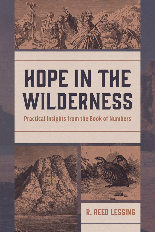 Hope In The Wilderness