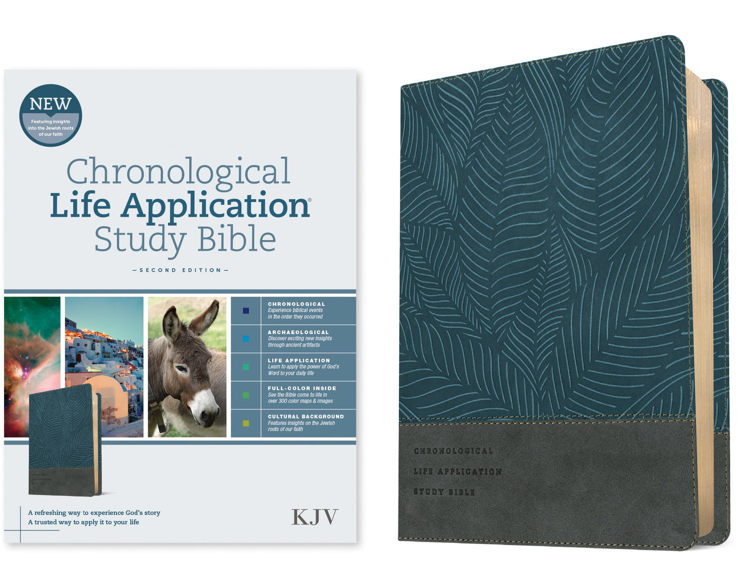 KJV Chronological Life Application Study Bible (Second Edition)-Palm Forest Blue Leatherlike