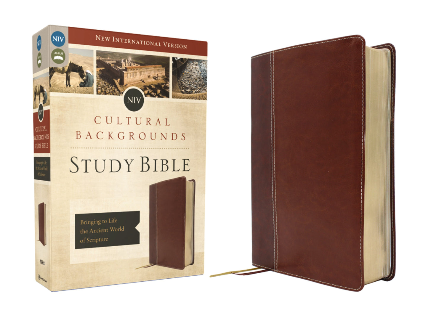 NIV Cultural Backgrounds Study Bible (Context Changes Everything)-Brown Leathersoft