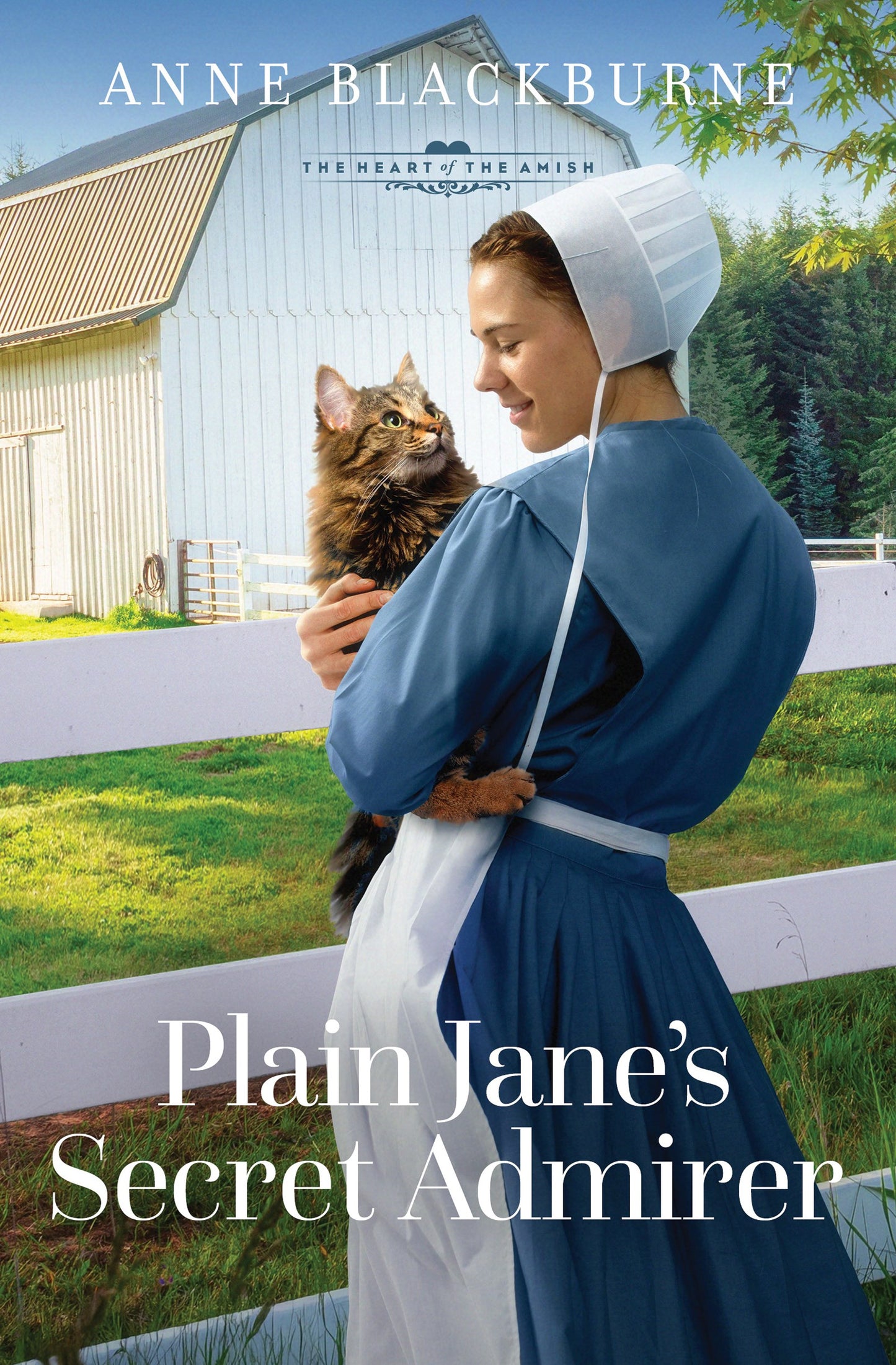 Plain Jane's Secret Admirer (The Heart Of The Amish)