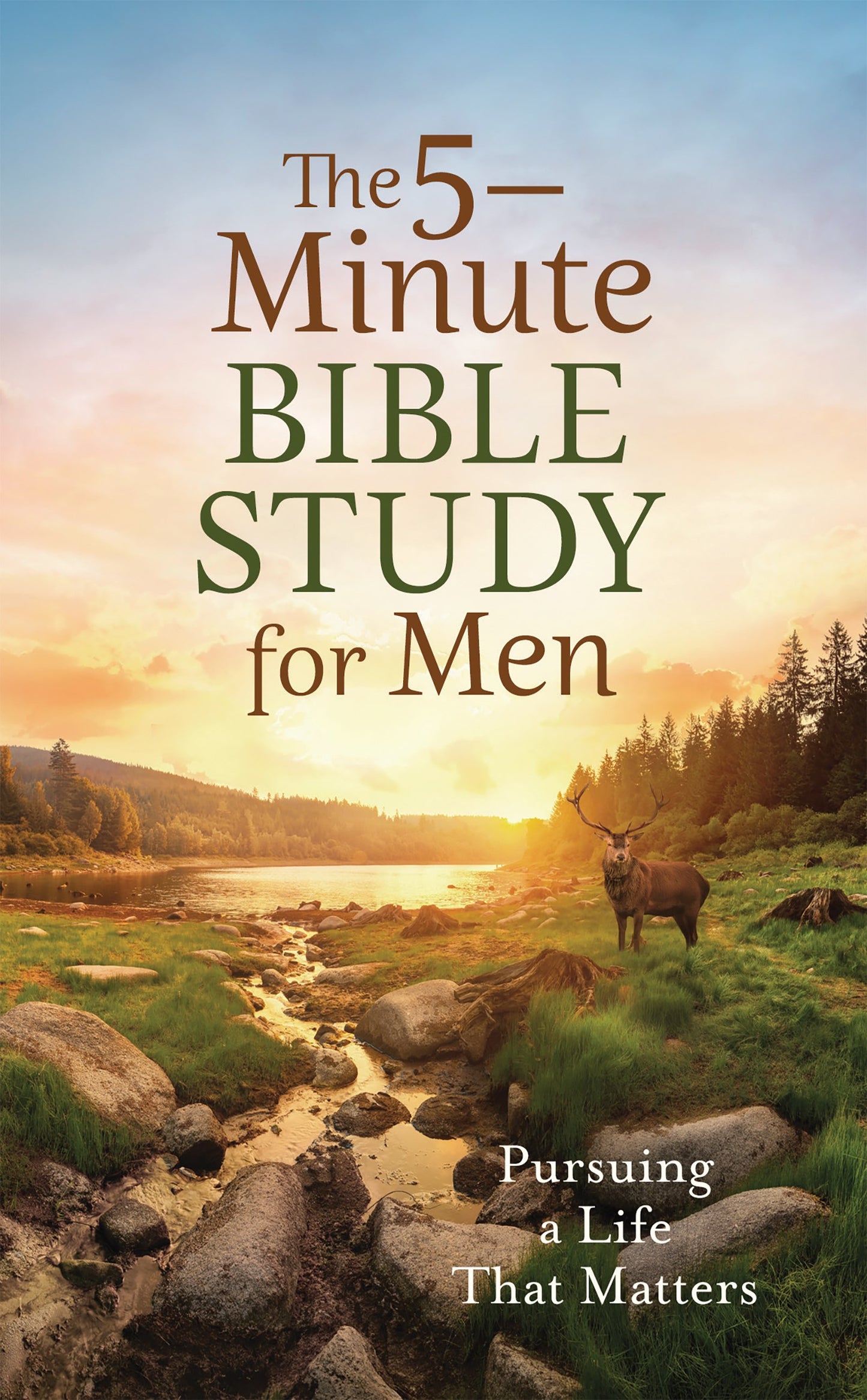 The 5-Minute Bible Study For Men