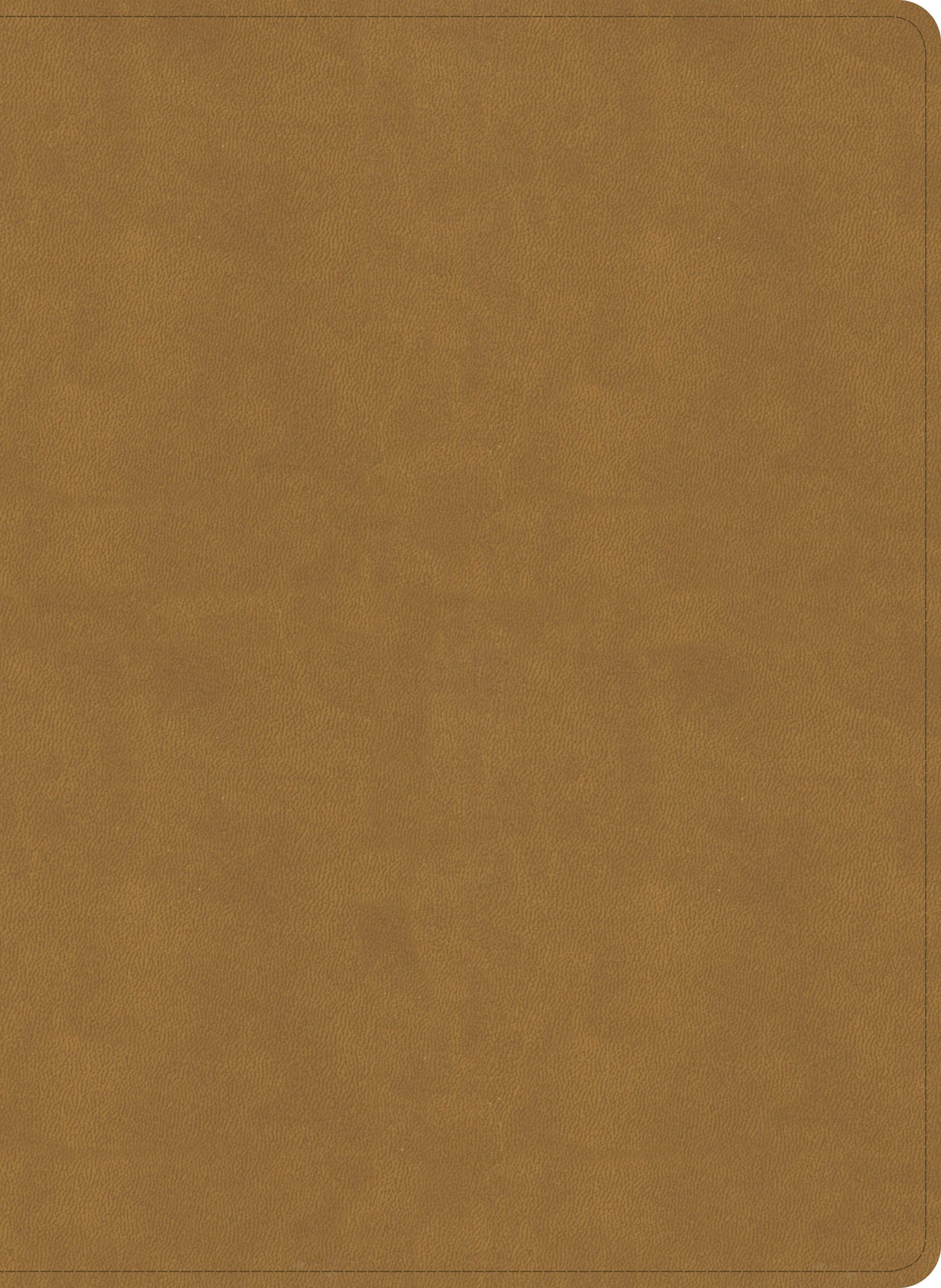 NASB 2020 Study Bible-Camel SuedeSoft LeatherTouch