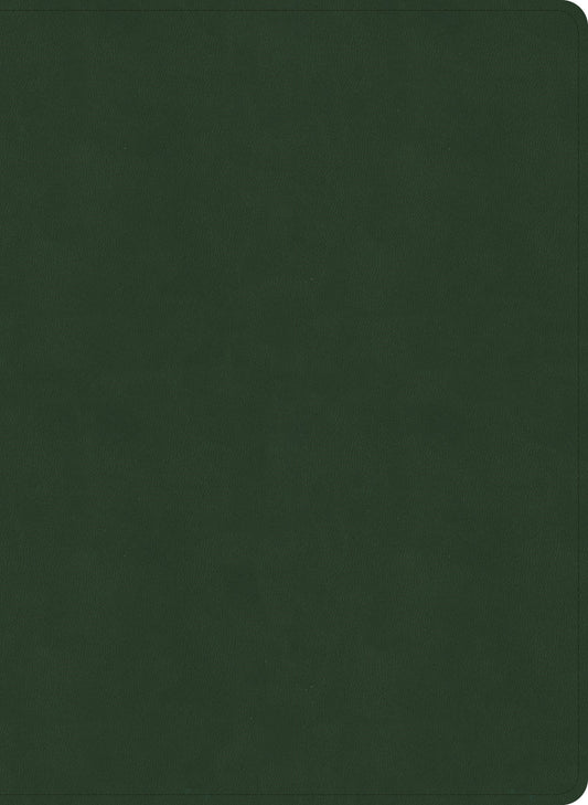 NASB 2020 Study Bible-Olive LeatherTouch Indexed