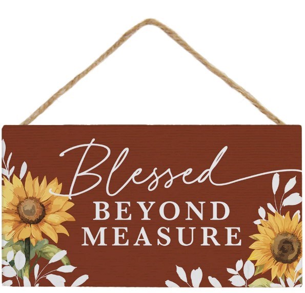 Petite Hanging Accent-Blessed Beyond Measure (6.5" x 5.5")
