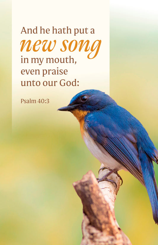Bulletin-And He Hath Put A New Song In My Mouth (Pack Of 100)
