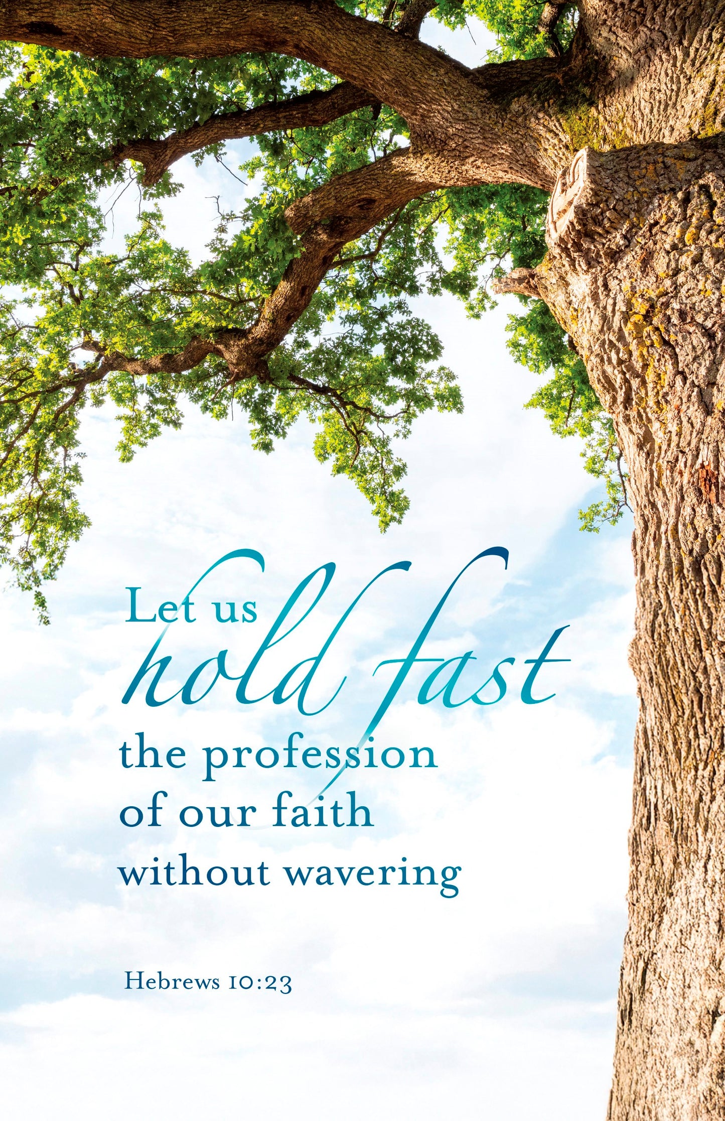 Bulletin-Let Us Hold Fast The Profession Of Our Faith (Pack Of 100)