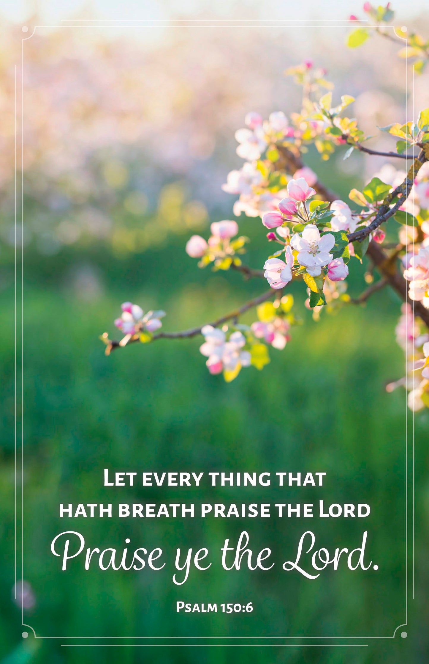 Bulletin-Let Every Thing That Hath Breath Praise The Lord (Package of 100)