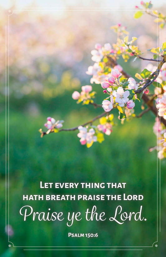 Bulletin-Let Every Thing That Hath Breath Praise The Lord (Package of 100)