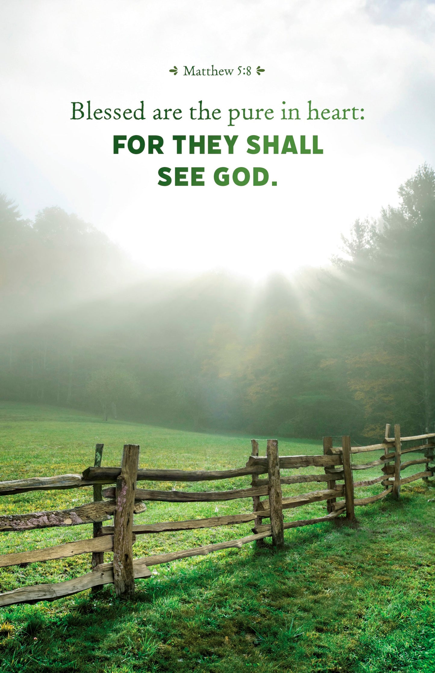 Bulletin-Blessed Are The Pure In Heart...They Shall See God (Pack Of 100)