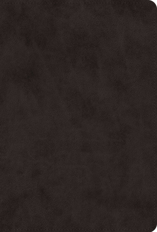 ESV Giant Print Value Thinline Bible-Black TruTone