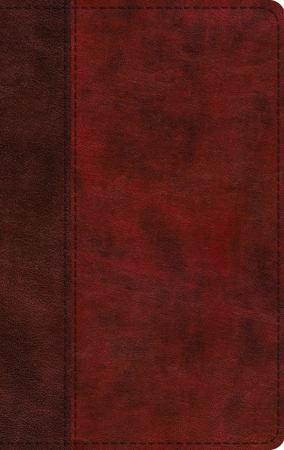 ESV Large Print Thinline Bible (RL)-Burgundy/Red  Timeless Design Trutone