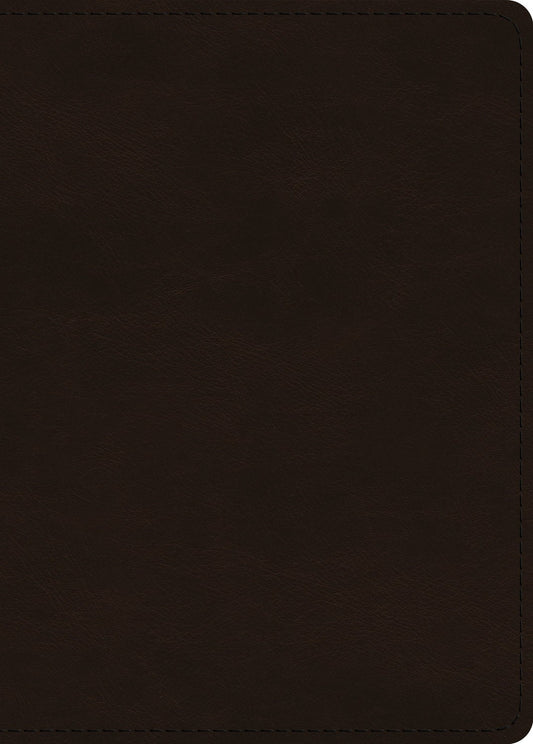 ESV Large Print Value Personal Size Bible-Deep Brown TruTone