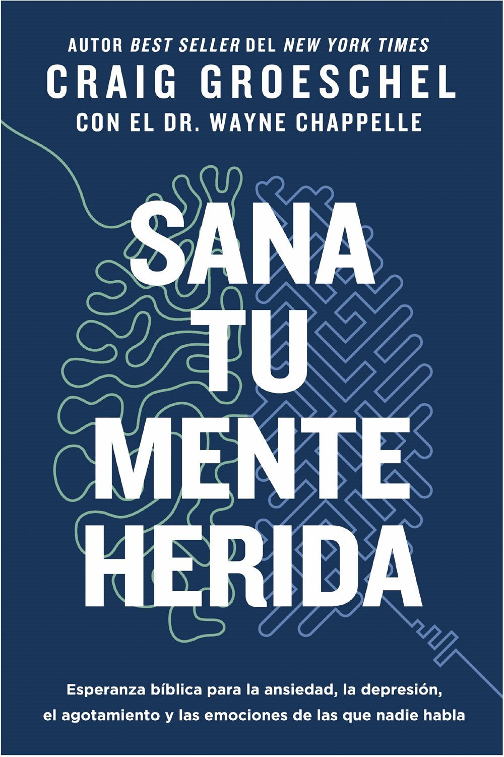 Sana tu mente herida (Heal Your Hurting Mind)