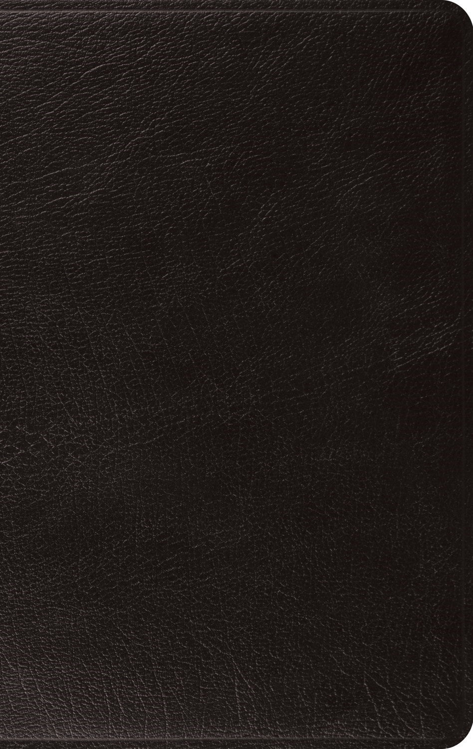 ESV Large Print Thinline Bible*-Black Genuine Leather