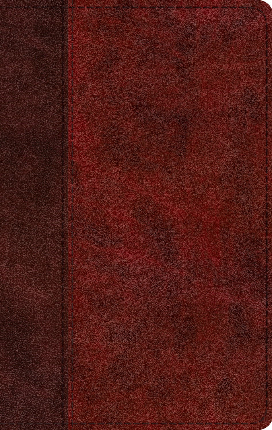 ESV Large Print Thinline Bible*-Burgundy/Red  Timeless Design TruTone