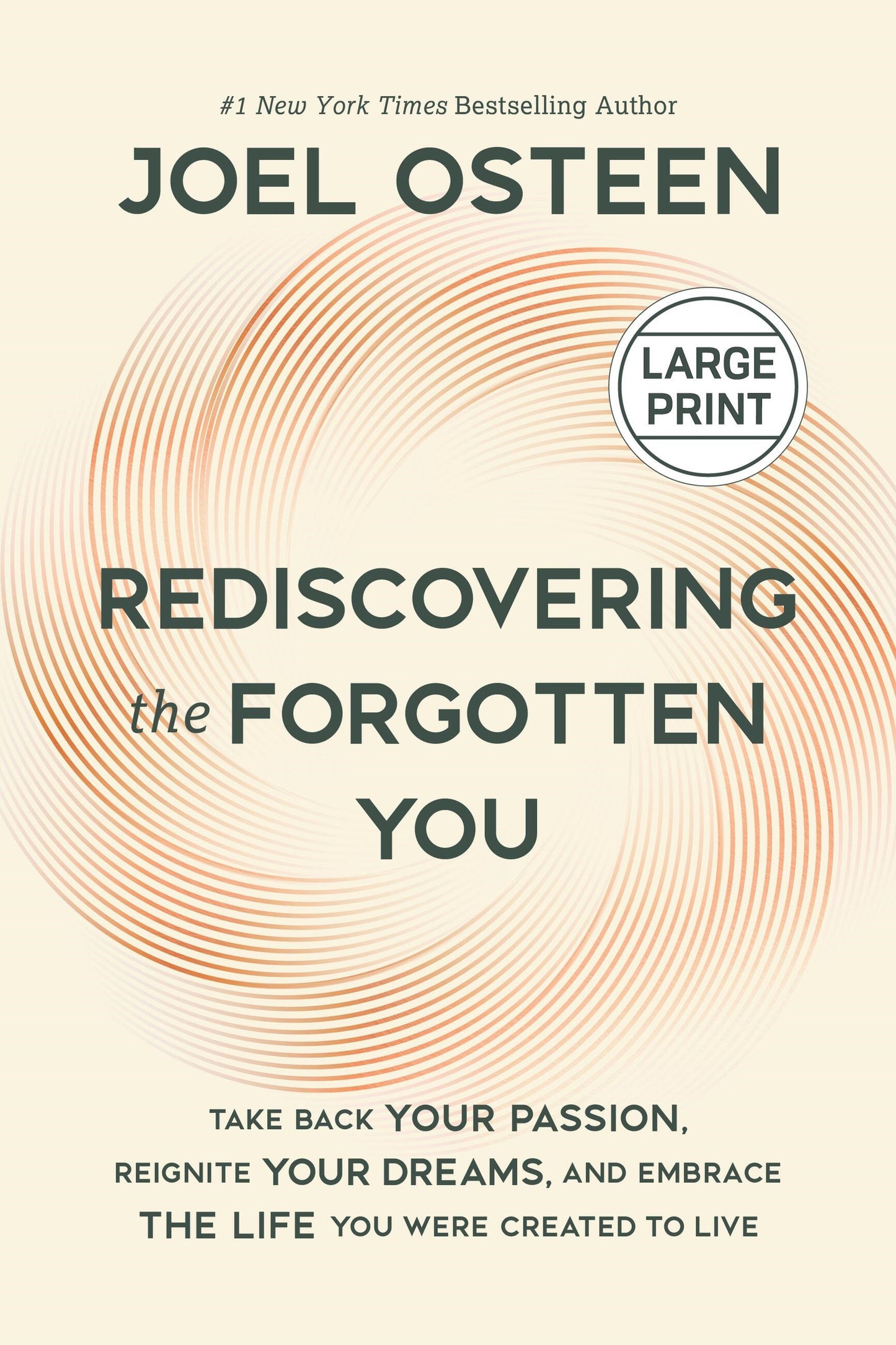 Rediscovering The Forgotten You Large Print