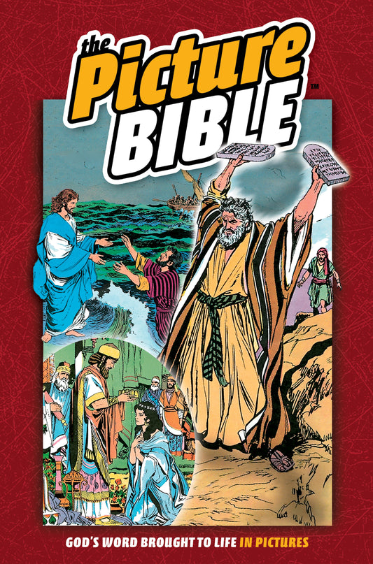 The Picture Bible-Hardcover