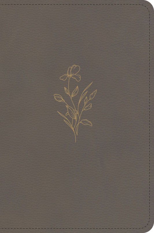 KJV Large Print Compact Reference Bible-Clay LeatherTouch