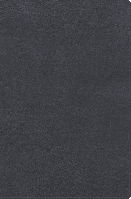 RVR 1960 Biblia de estudio letra gigante (Giant Print Study Bible)-Grey LeatherTouch