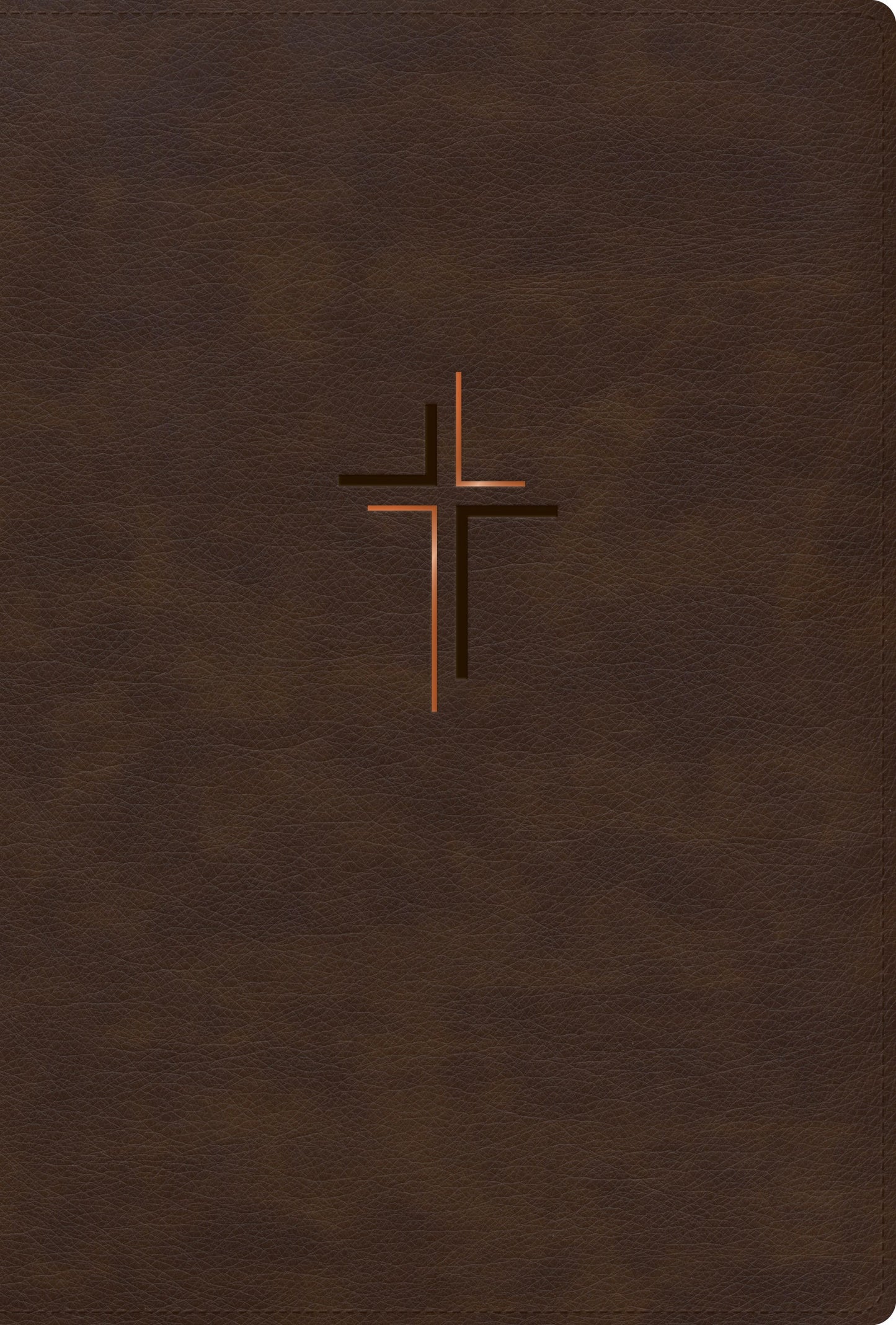 RVR 1960 Biblia letra grande  tamano manual  edicion especial (Handsize Giant Print  Special Ed)-Earth Brown LeatherTouc